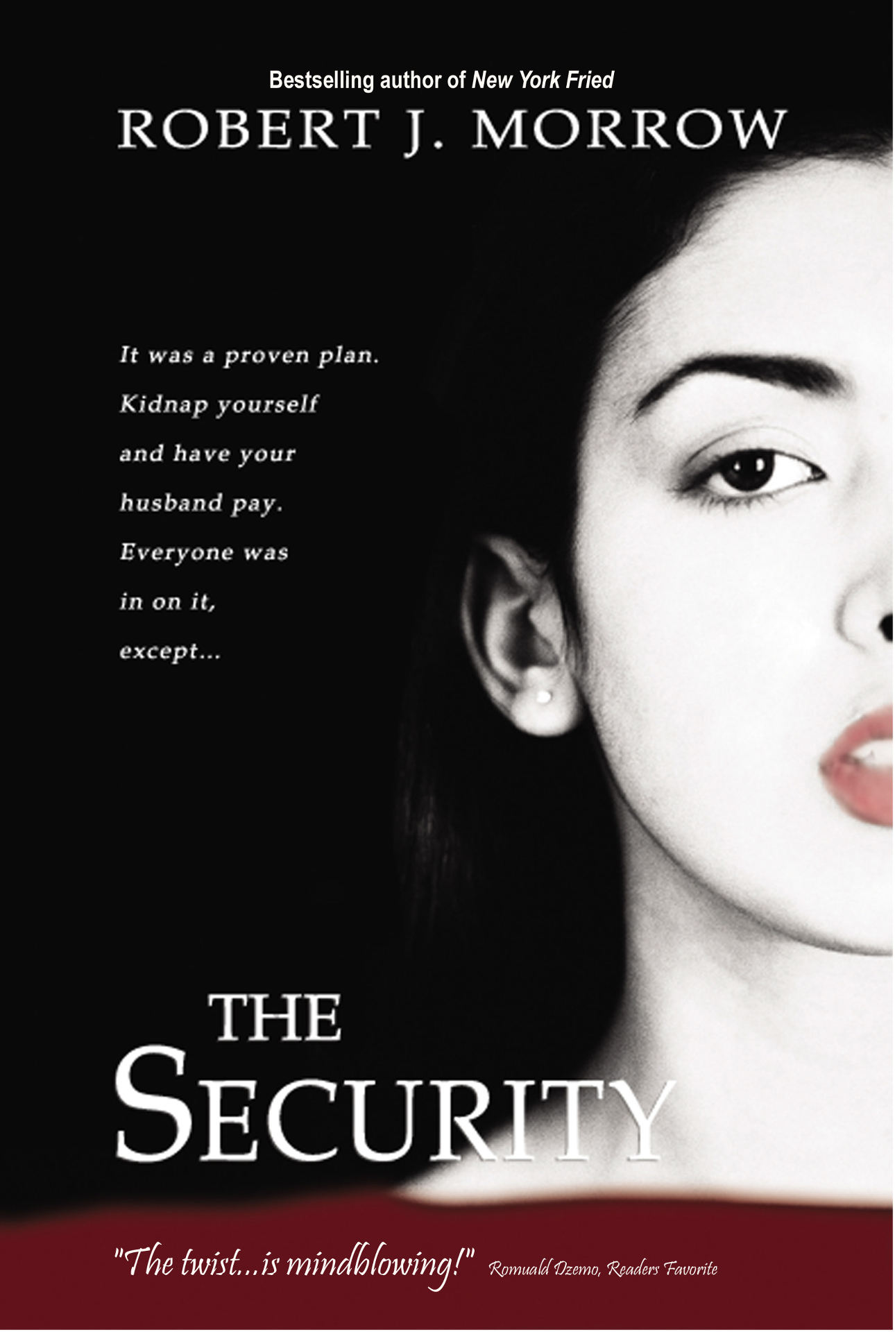 The Security, a novel by Robert J. Morrow